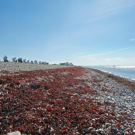 Exclusives Auf Fehmarn *
